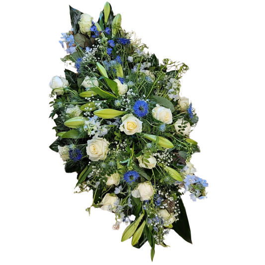 Witte Roos & Blauwe delphinium Traditioneel