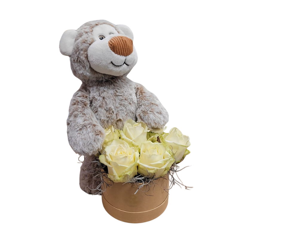 Teddy Witte Rozenbox