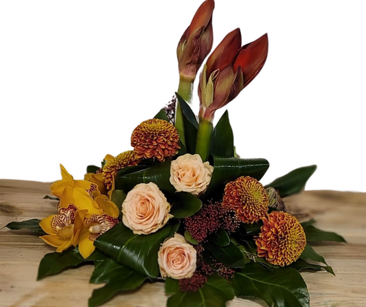 Amaryllis Sereniteit